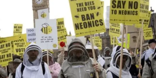 The Neonic Ban: A Scientific Fraud Becomes Enshrined In EU Regulatory Law