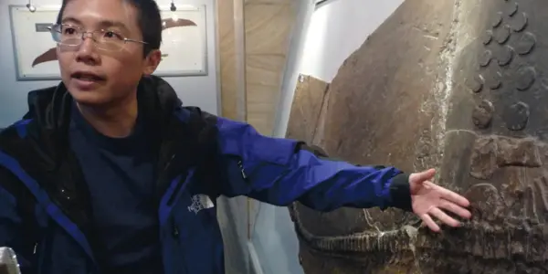 5 Greatest Palaeontology Fakes Of All Time #5: The Linxia Cheetah