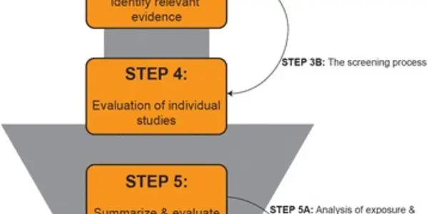 SYRINA: A Trojan Horse For Endocrine Disrupting Chemicals?