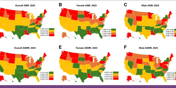 state-level_asir_and_asmr_stratified_by_sex