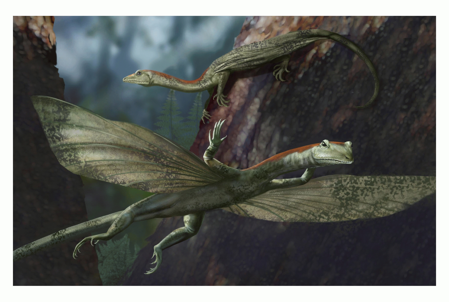 Ancient Long-necked Gliding Reptile Discovered