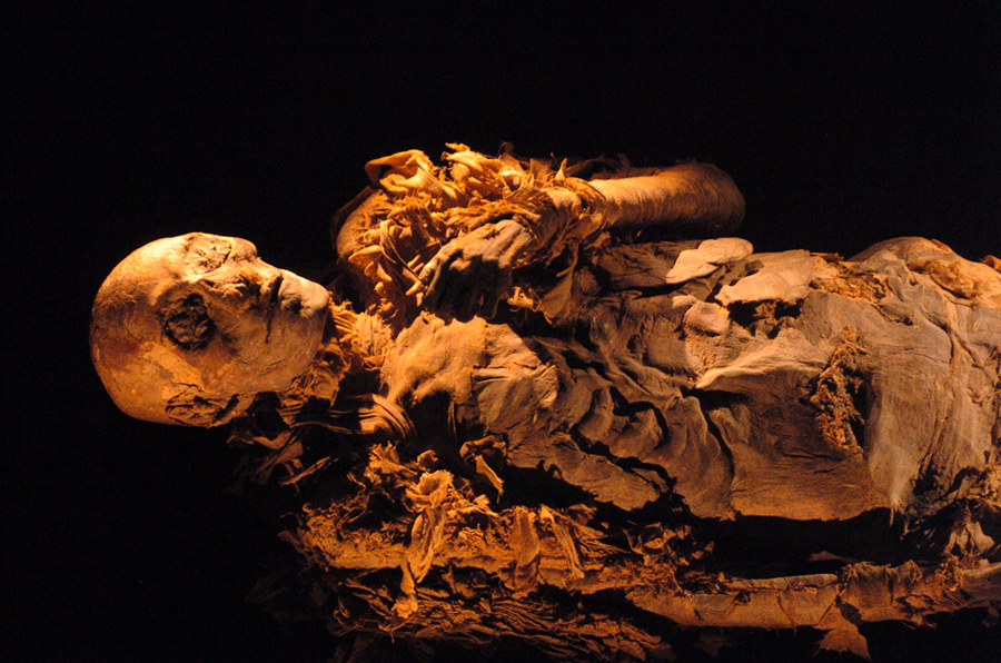 The Search For Hatshepsut And The Discovery Of Her Mummy