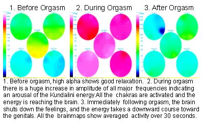 Brainmapping The Orgasm