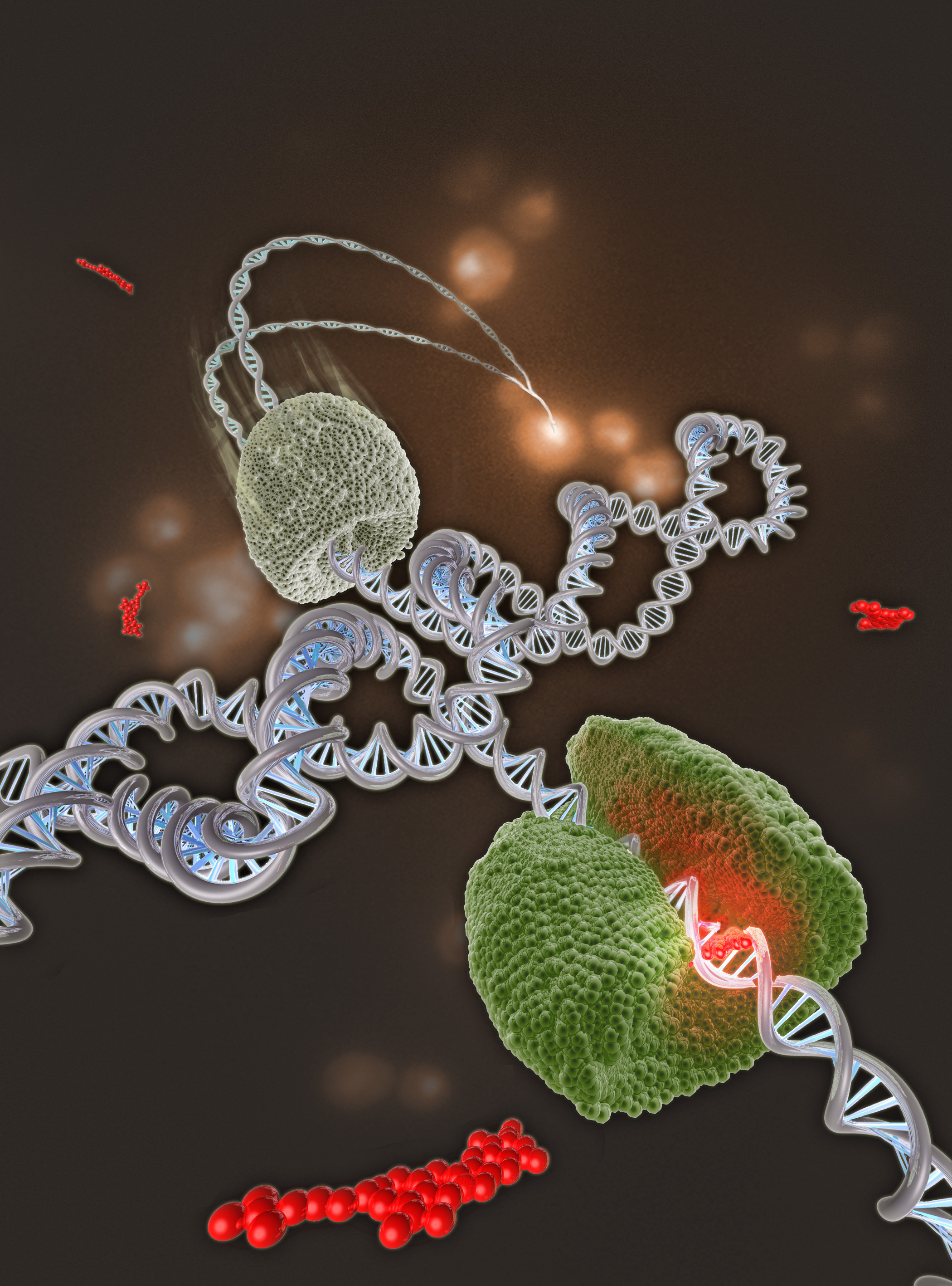 Understanding Topotecan's Cancer Inhibiting Power